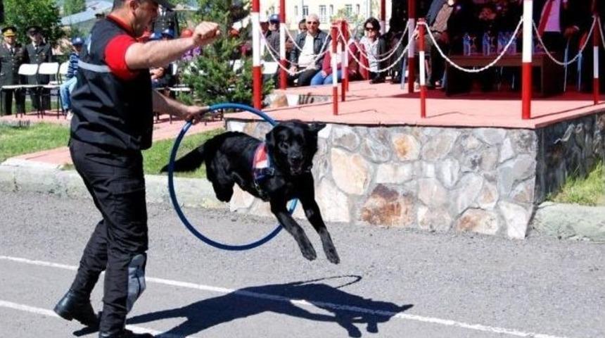 Jandarma Teşkilatı&rsquo;nın 175&rsquo;nci Kuruluş Yıld&ouml;n&uuml;m&uuml; Kutlandı