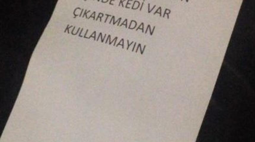 (&ouml;zel Haber) Yavru Kedi İ&ccedil;in Polis Arabası 12 Saat &Ccedil;alışmadı