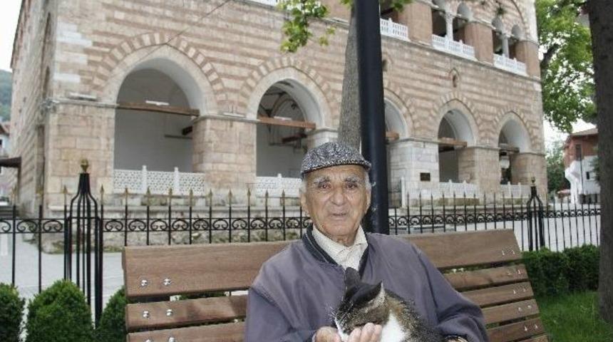 Kedileri Besleyerek Hayata Tutunuyor