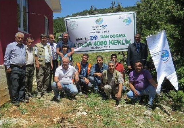 Saimbeyli’de Doğaya Bin Adet Kınalı Keklik Salındı