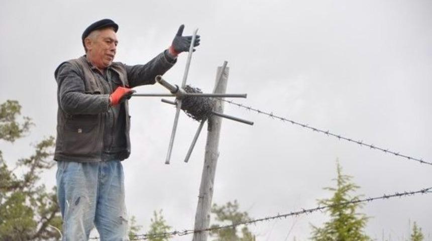 Dikenli Teller Toplatılıyor