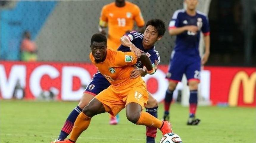 2014 D&uuml;nya Kupası