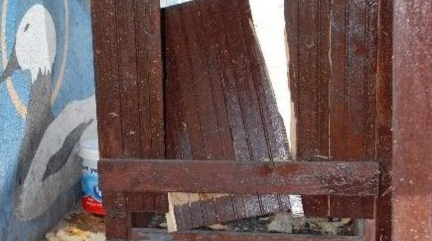 Sokak Hayvanlarının Beslenme &Uuml;nitesini Par&ccedil;aladılar