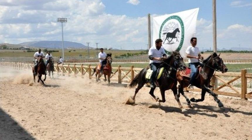 Konya&rsquo;da Rahvan Atları Bahar Kupası İ&ccedil;in Yarıştı