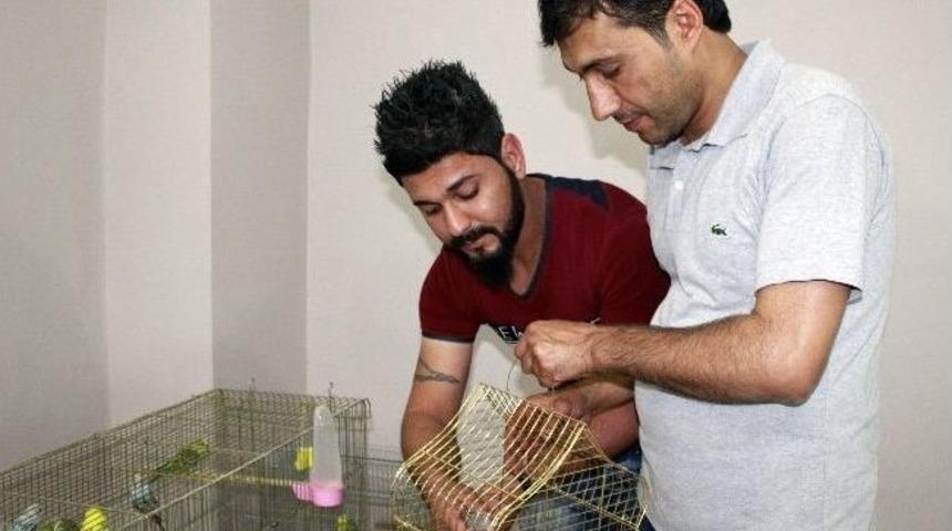 S&uuml;s Hayvanlarına İlgi Arttı