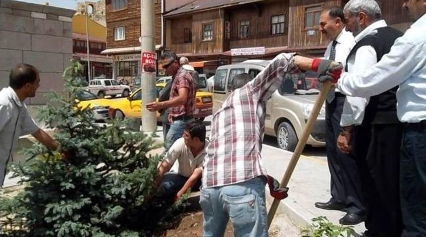 Kemah &Ccedil;i&ccedil;ek A&ccedil;tı