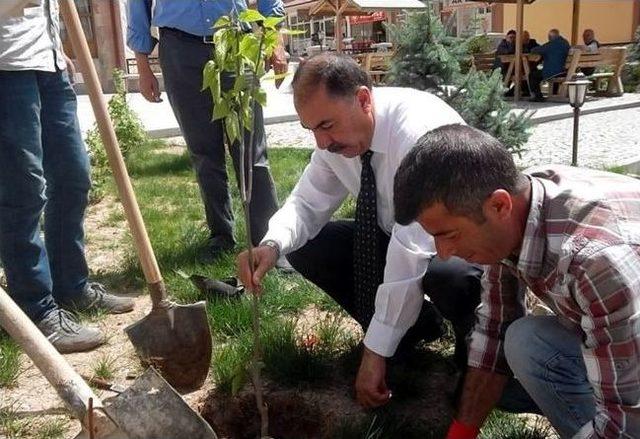 Kemah &Ccedil;i&ccedil;ek A&ccedil;tı 1