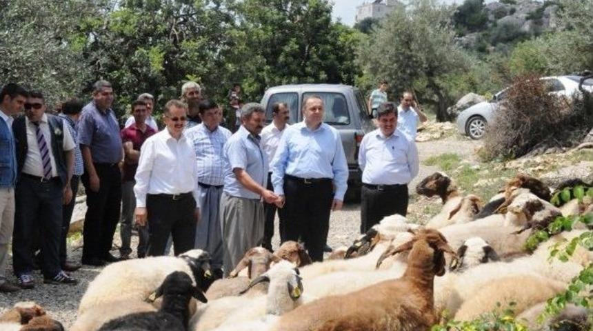 Ork&ouml;y&rsquo;den Mersin K&ouml;yl&uuml;s&uuml;ne 19 Milyon Kredi Desteği