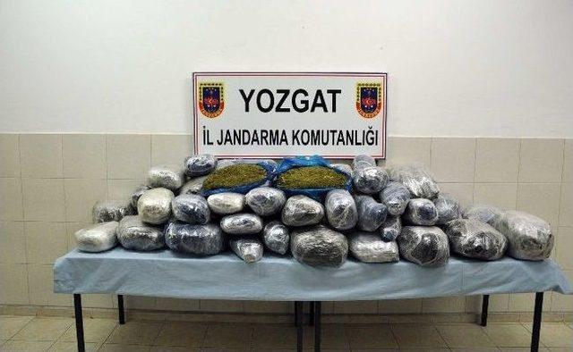 Yozgat Jandarması 115 Kilo Esrar Ele Geçirdi