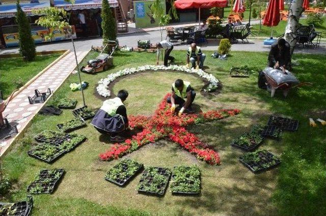 Paland&ouml;ken Sokakları Ve Parkları &Ccedil;i&ccedil;ek A&ccedil;tı&hellip; 1