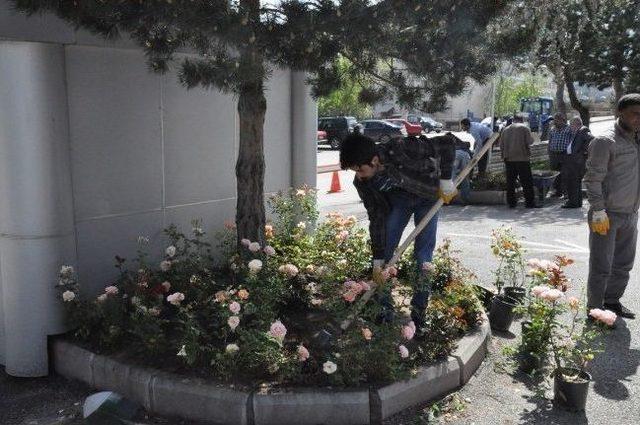 Paland&ouml;ken Sokakları Ve Parkları &Ccedil;i&ccedil;ek A&ccedil;tı&hellip; 2