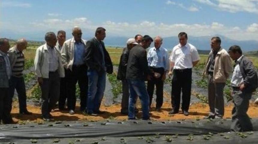 Beyşehirli &Ccedil;ift&ccedil;ilere &Ccedil;ilek &Uuml;retimi Tavsiyesi