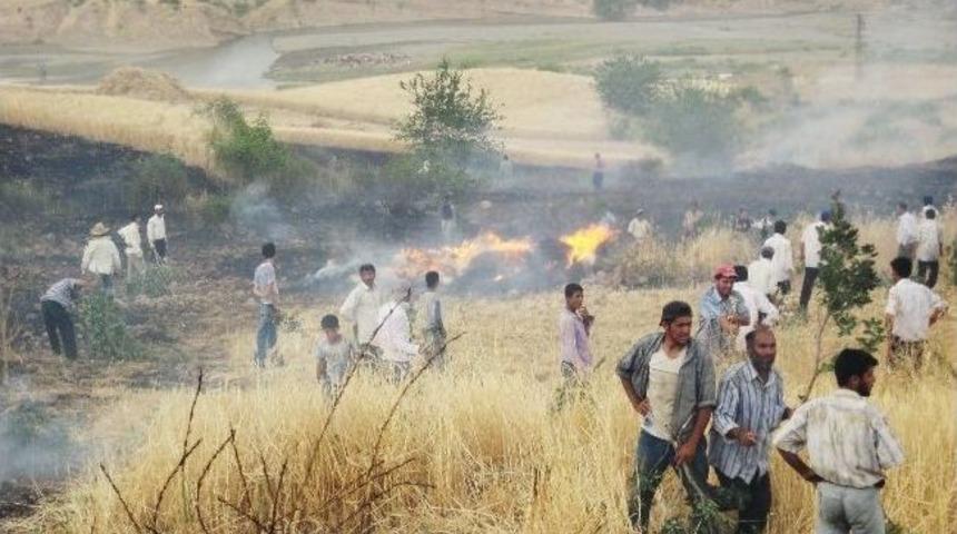 Yıldırım D&uuml;şt&uuml; 200 D&ouml;n&uuml;ml&uuml;k Ekili Alan K&uuml;l Oldu