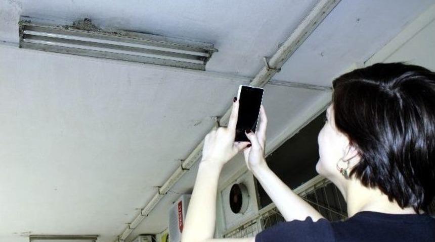 Kırlangı&ccedil; Yavruları Vatandaşların İlgi Odağı Oldu