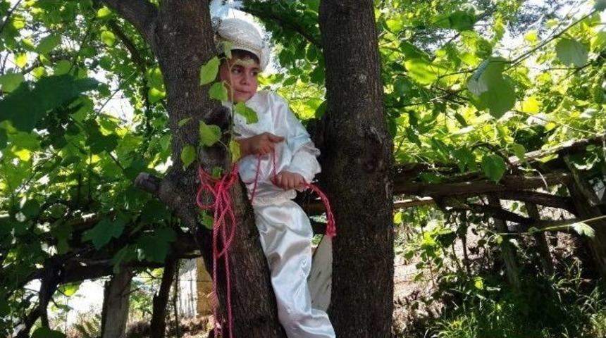 S&uuml;nnetten Korkup Dut Ağacına &Ccedil;ıktı