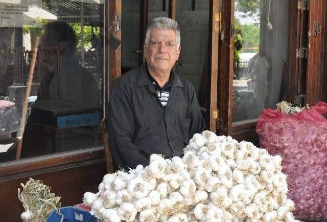 Sarımsak Sezonu Açıldı