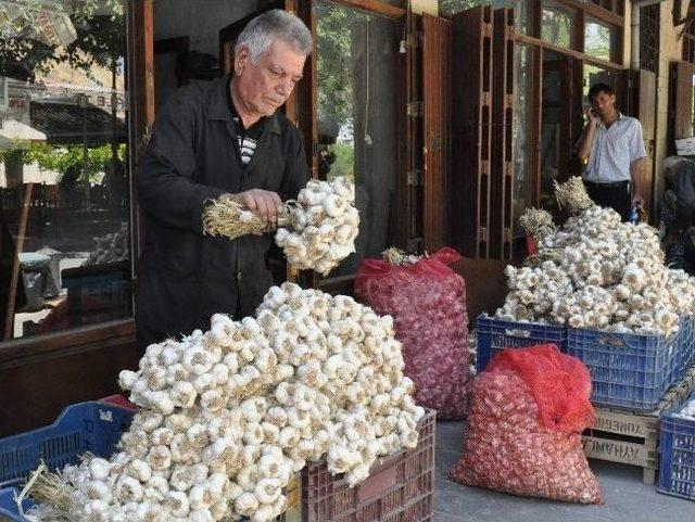 Sarımsak Sezonu Açıldı