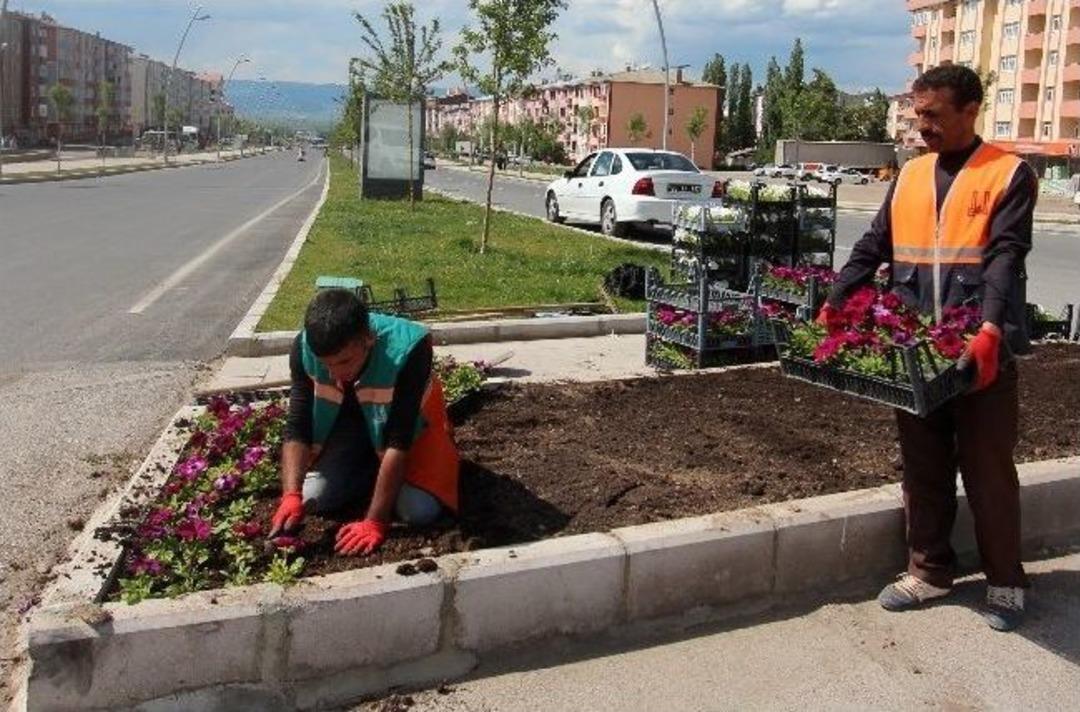 B&uuml;y&uuml;kşehir, Erzurum Şehir Merkezine 350 Bin &Ccedil;i&ccedil;ek Ekti