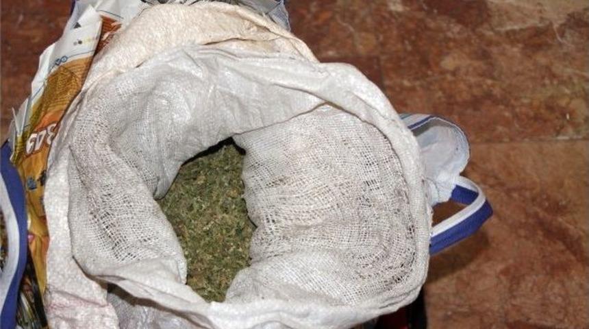 Dat&ccedil;a&rsquo;da Esrar Operasyonu