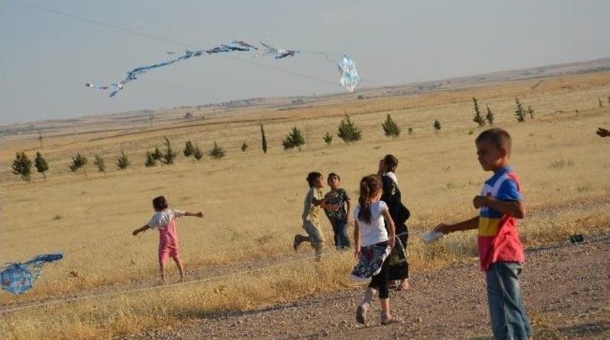 Ceylanpınar &Ccedil;adır Kentte U&ccedil;urtma Şenliği