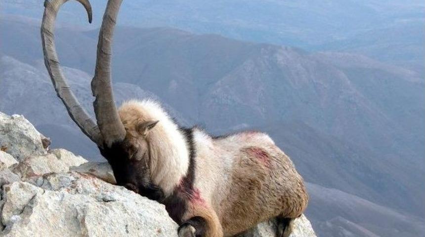 Av Turizminde Rekor Gelir Elde Edilecek