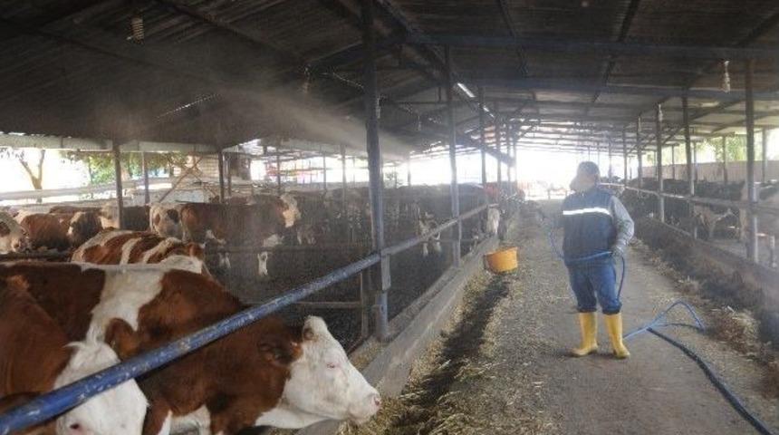 Manisa&rsquo;da İla&ccedil;lama &Ccedil;alışmaları Hızlandı