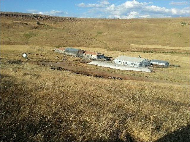 Dika Koordinat&ouml;r&uuml; Cizre deki Halep Ke&ccedil;isi &Ccedil;iftliğini Ziyaret Etti 1