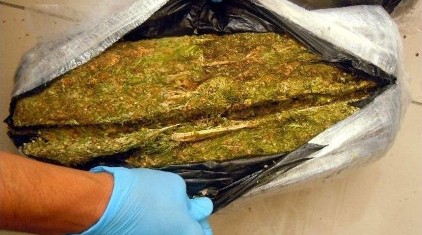 Sulama Borularından 115 Kilo Esrar &Ccedil;ıktı