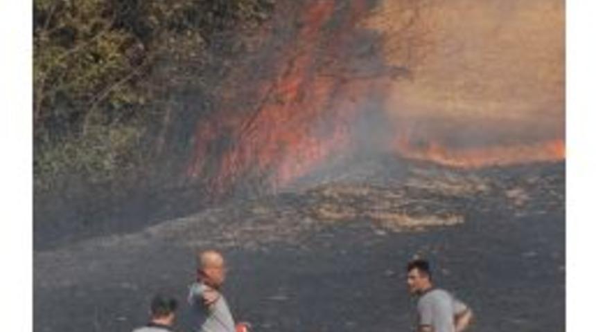 Anız Yakana 35 Tl Ceza