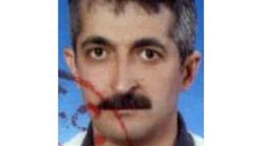 Tatile Geldi, Kazada &Ouml;ld&uuml;