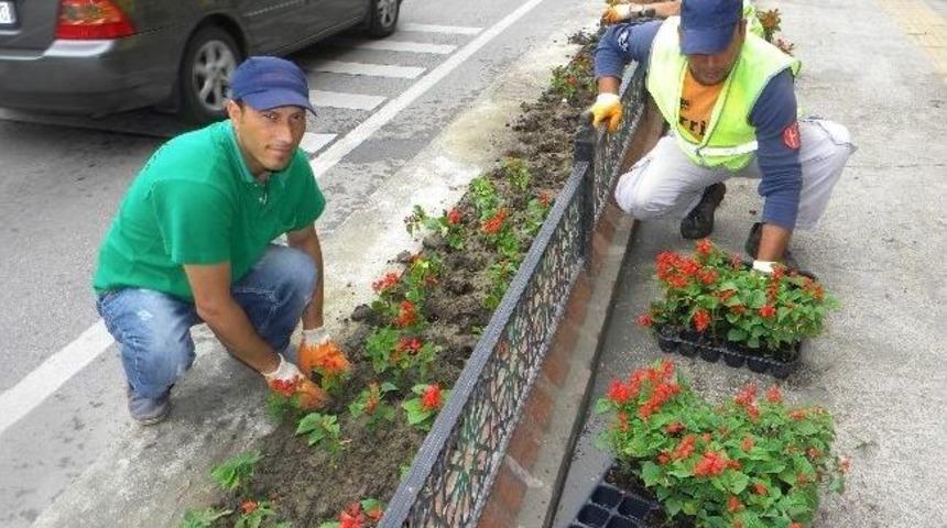 Edirne&rsquo;ye 400 Bin &Ccedil;i&ccedil;ek Ekiliyor