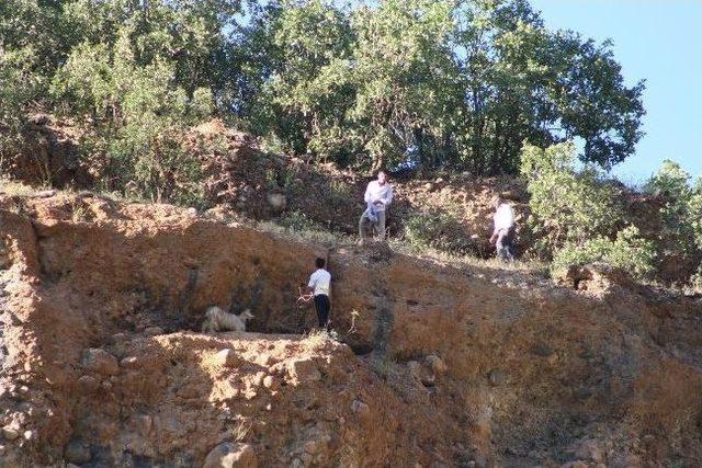 Kayalıklarda Mahsur Kalan Keçi 3 Gün Sonra Kurtarıldı