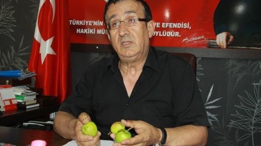 İneg&ouml;ll&uuml; &Ccedil;ift&ccedil;inin Yağmur Ve Doludan Zararı 40 Milyon Lira