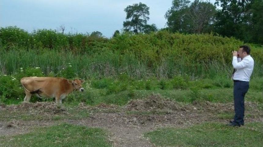 Vali Aksoy&rsquo;dan Foto Safari
