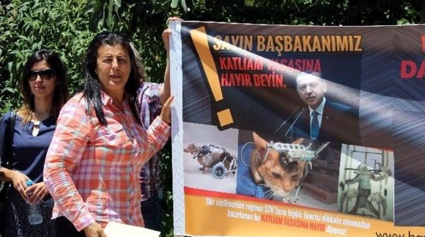 Hayvanseverlerden Başbakan&rsquo;a Mektup