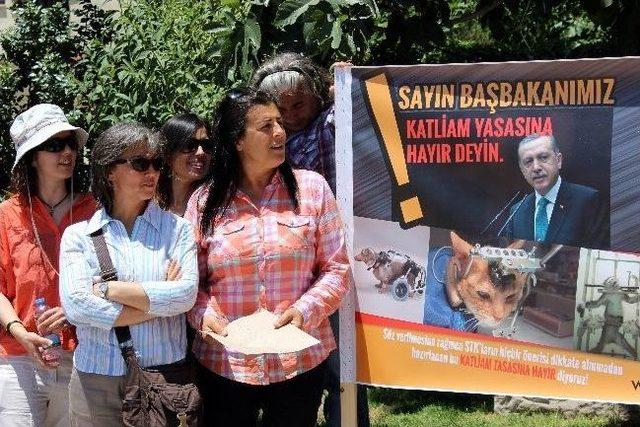 Hayvanseverlerden Başbakan’a Mektup