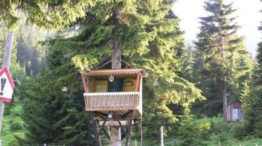 Kuş Değil İnsan Yuvası