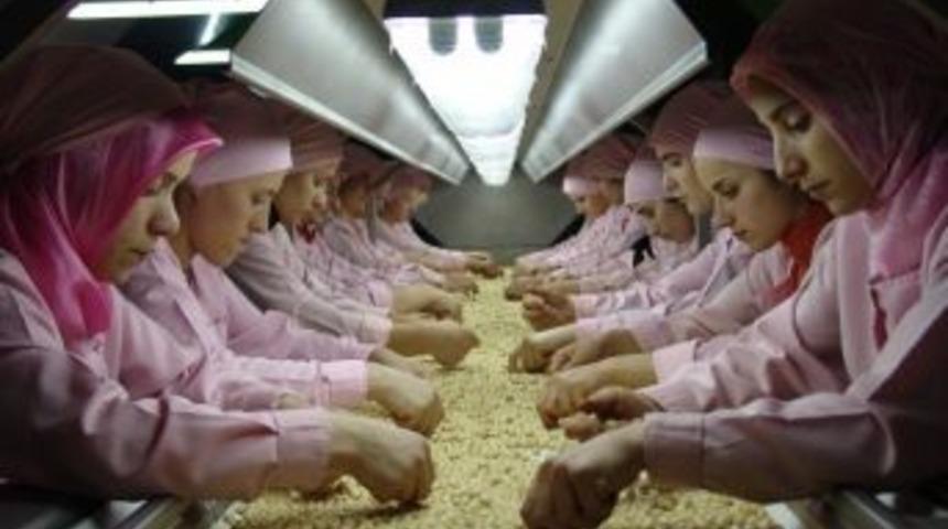 2 Bin 382 Ton İ&ccedil; Fındık İhra&ccedil; Edildi