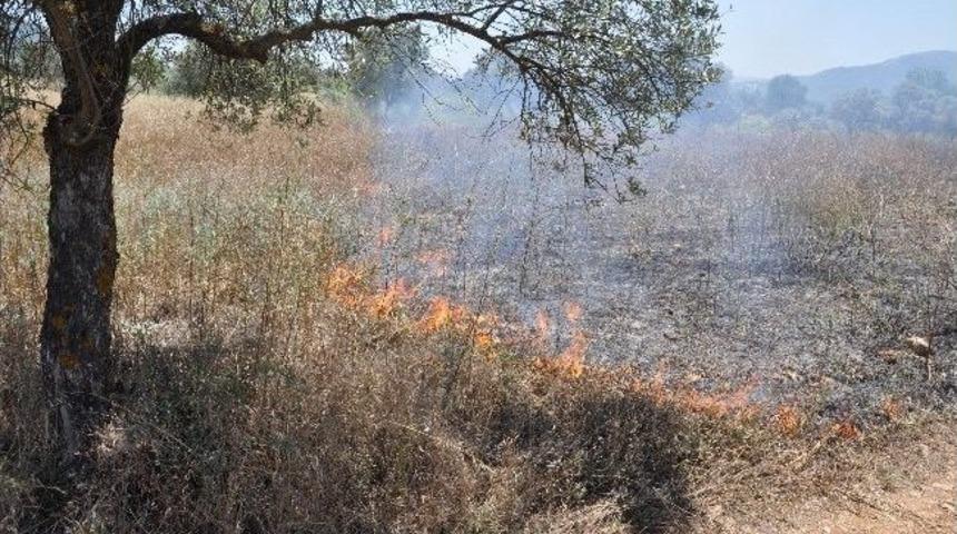 Yatağan&rsquo;da &Ouml;rt&uuml; Yangını