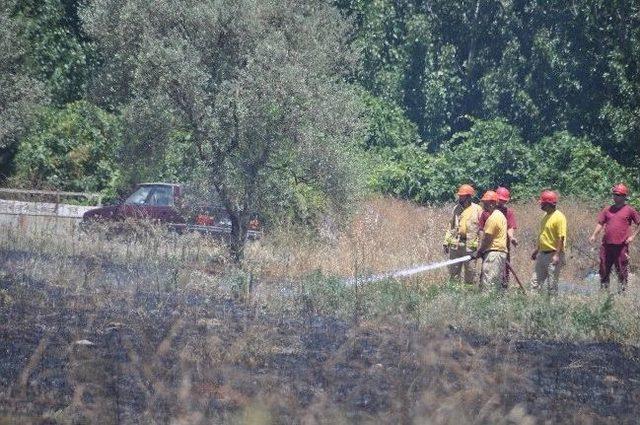 Yatağan’da Örtü Yangını