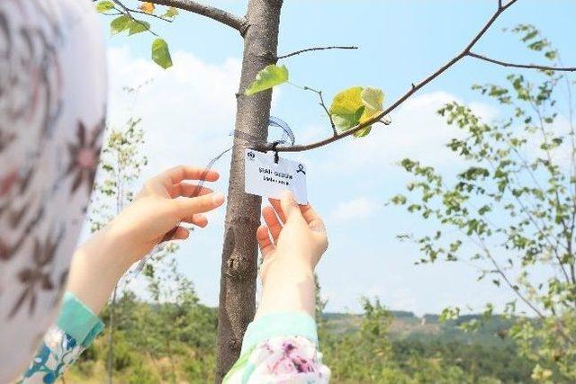 Sultangazi Kent Ormanları İstanbullular ın G&ouml;zdesi Oldu 2