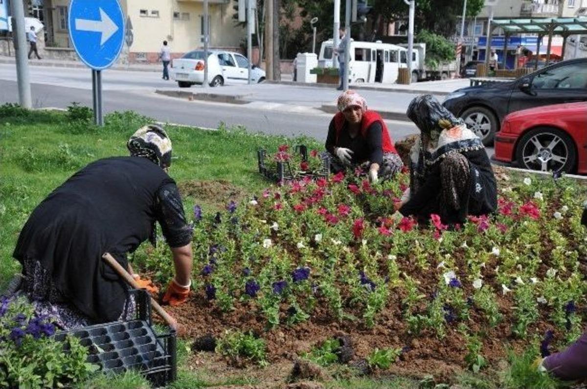 Boz&uuml;y&uuml;k&rsquo;te Park Ve Bah&ccedil;elerde Bakım &Ccedil;alışmaları S&uuml;r&uuml;yor