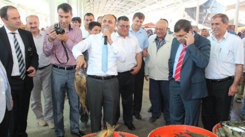 Belediye Başkanı A&ccedil;ık Artırmada Balık Sattı