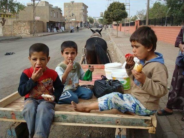 Viranşehir Kaymakamlığı Aşevi Ramazan&rsquo;a Hazır 1