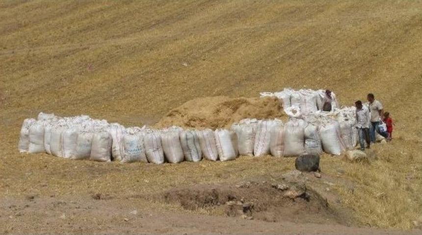 Kuraklık Saman Fiyatlarını Arttırdı