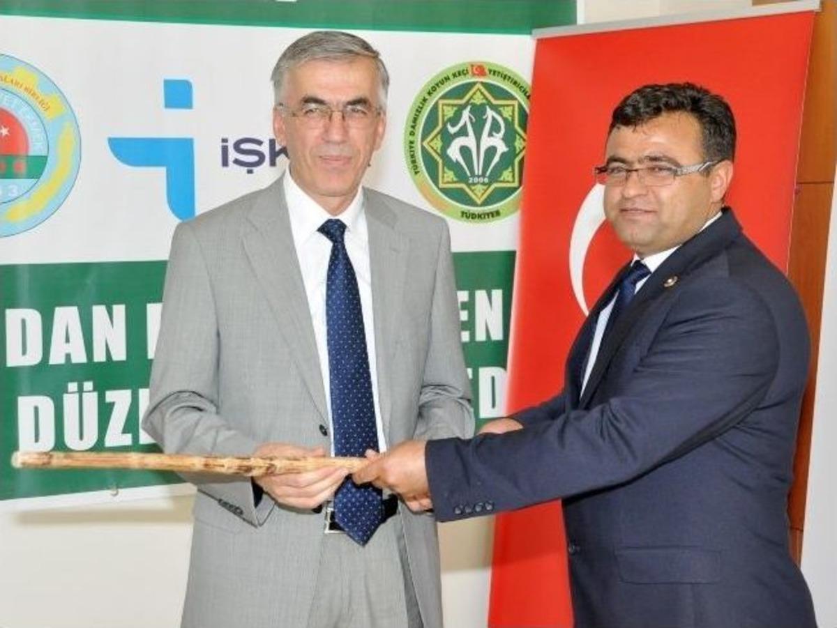 Valiye &Ccedil;oban Değneği