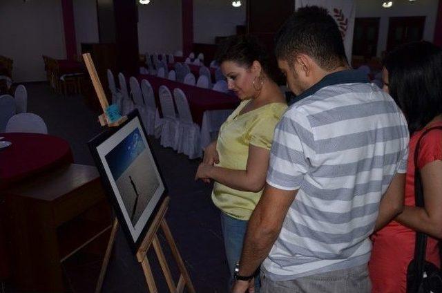 Soma Şehitleri İ&ccedil;in Silopi&rsquo;de Karma Resim Sergisi A&ccedil;ıldı 1