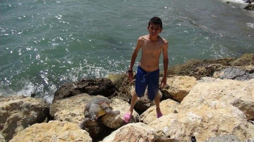 Mersin'de Caretta Caretta &Ouml;l&uuml;s&uuml; Sahile Vurdu