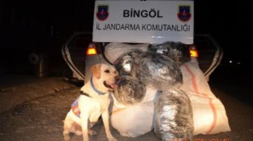 Bing&ouml;l&rsquo;de 105 Kilo Esrar Ele Ge&ccedil;irildi