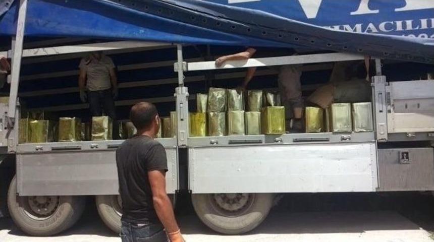 Ağrı'da B&uuml;y&uuml;k Ka&ccedil;ak Bal Operasyonu